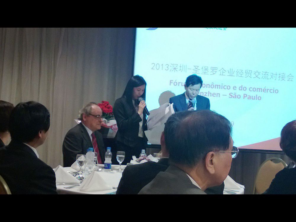 2013年巴西展会_拉斯维加斯游戏集团